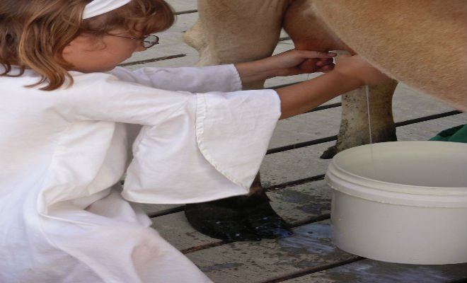 Farmáři i mlékárny dostanou peníze aby z mléka vytvořili .jpg