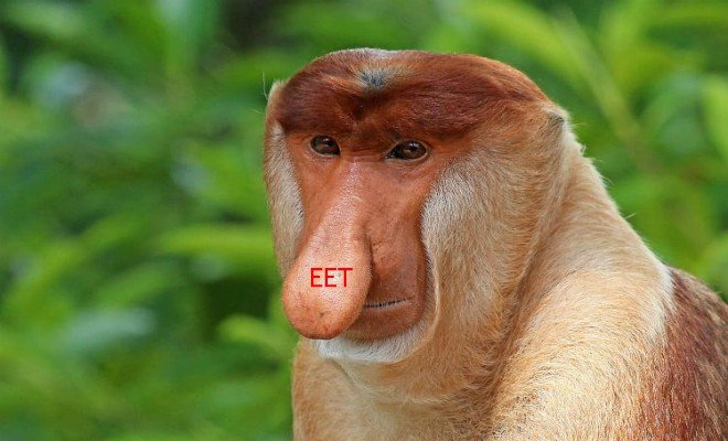 EET má i v roce 2019 hodně zastánců i odpůrců a 2.jpg