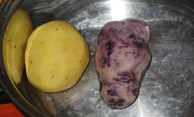 Farmáři spolu s obchodníky chtějí bojovat proti plýtvání s jídlem a prodávat efektivneji.jpg