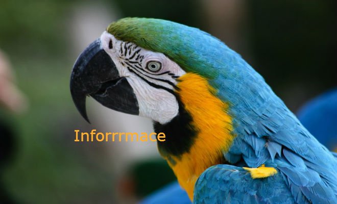 Firemní databáze dostupné na internetu poskytují různé služby.jpg