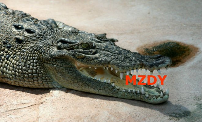 Mzdy nám rostou pomalu protože se prohýbají pod tíhou daní.jpg