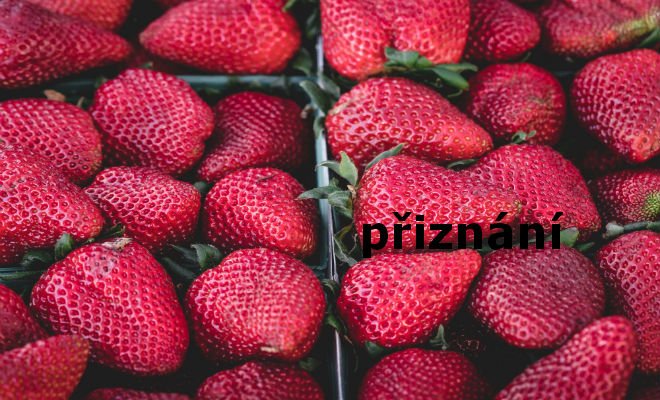 Na odložené daňové přiznání je nejvyšší čas aneb první šervenec za dvermi.jpg