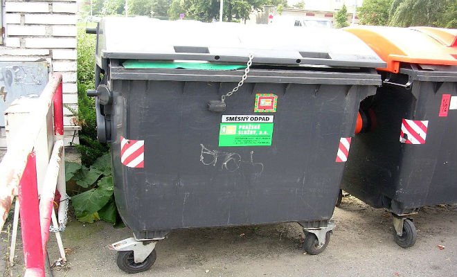 Pěstounům nemohou být vyměřovány nedopl 2.jpg