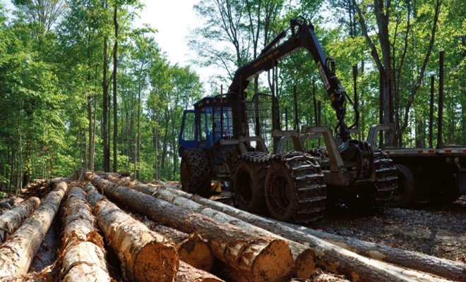 Podnikatelé těžící dřevo s kůrovcem by se měli dočkat obdobné podpor 2.jpg