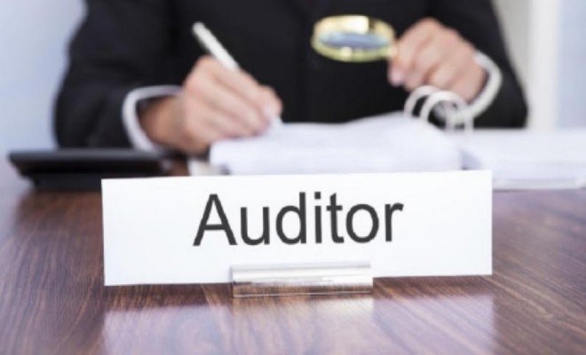 Zpráva auditora se neobejde bez náležitostí odborně a nezávisle zhodnocují 2.jpg