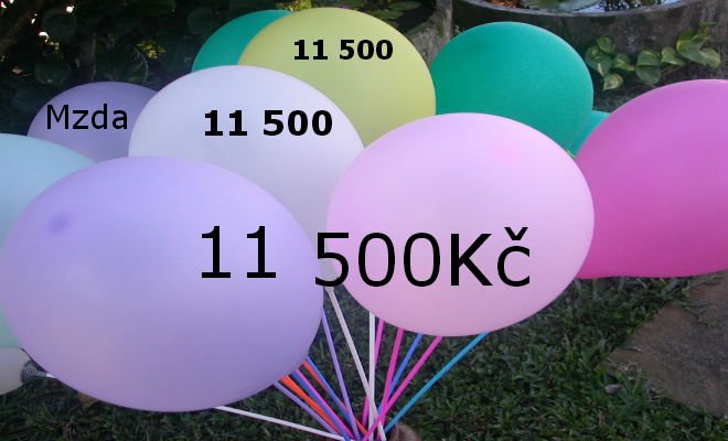 Zvyšování minimální mzdy rychle na 11 500 Kč by se vymstilo zaměstnancům.jpg
