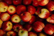 Hodinové odměny kolem 200 Kč  při brigádě v zemědělství  a sklízené produkty jako bonus